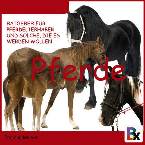 Hoerbuch Ratgeber für Pferde-Liebhaber und solche, die es werden wollen - Thomas Meinen - Thomas Meinen