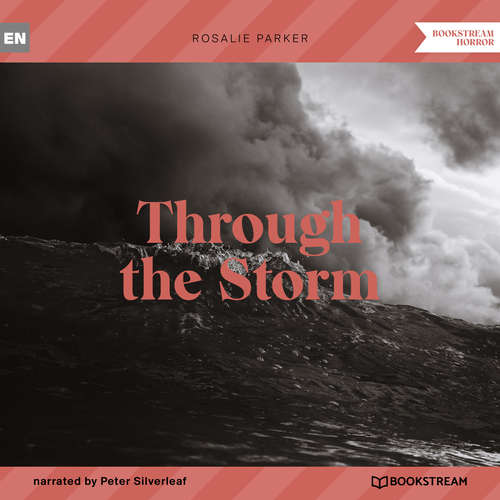 Audiobook Through the Storm - Rosalie Parker - Peter Silverleaf