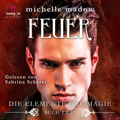 Hoerbuch Feuer - Die Elemente der Magie, Band 2 - Michelle Madow - Sabrina Scherer