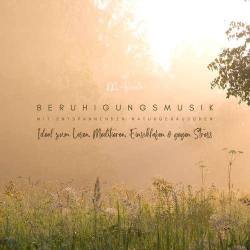 Hoerbuch Beruhigungsmusik mit entspannenden Naturgeräuschen - Klangwerkstatt für beruhigende Musik - Klangwerkstatt für beruhigende Musik