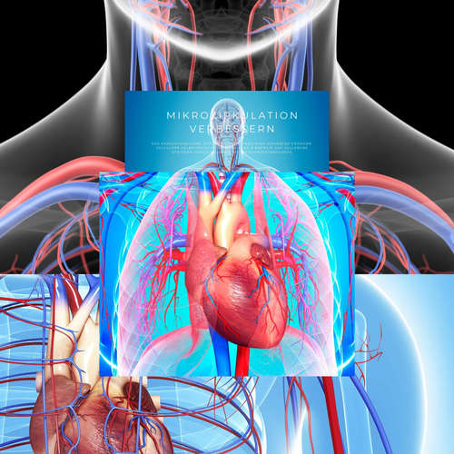 Hoerbuch Mikrozirkulation verbessern, das kardiovaskuläre System stärken, Herz-Hirn-Kohärenz fördern - Powerful Methods to Awaken Selfhealing - Powerful Methods to Awaken Selfhealing