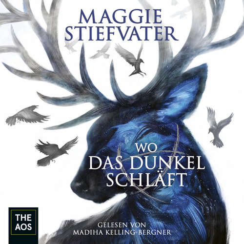 Hoerbuch Wo das Dunkel schläft - Maggie Stiefvater - Madiha Kelling-Bergner