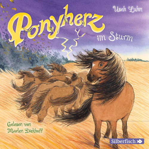 Hoerbuch Ponyherz 14: Ponyherz im Sturm - Usch Luhn - Marlen Diekhoff