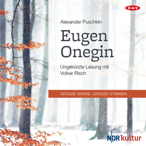Hoerbuch Eugen Onegin - Alexander Puschkin - Volker Risch