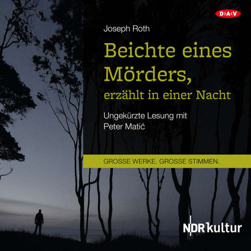 Hoerbuch Beichte eines Mörders, erzählt in einer Nacht - Joseph Roth - Peter Mati?