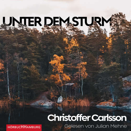 Hoerbuch Unter dem Sturm - Christoffer Carlsson - Julian Mehne