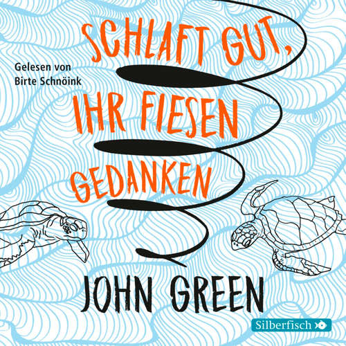 Hoerbuch Schlaft gut, ihr fiesen Gedanken - John Green - Birte Schnöink