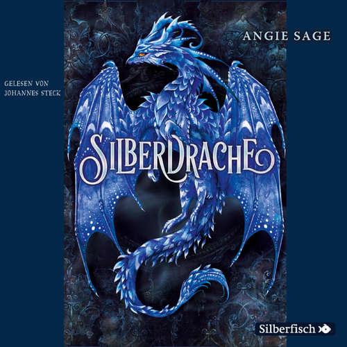 Hoerbuch Silberdrache 1: Silberdrache - Angie Sage - Johannes Steck