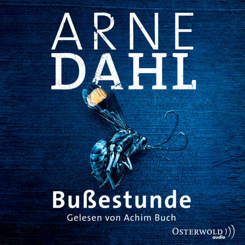 Hoerbuch Bußestunde (A-Team 10) - Arne Dahl - Achim Buch