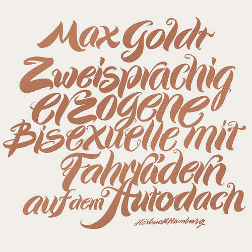 Hoerbuch Zweisprachig erzogene Bisexuelle mit Fahrrädern auf dem Autodach - Max Goldt - Max Goldt