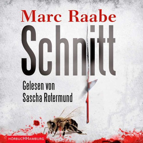 Hoerbuch Schnitt - Marc Raabe - Sascha Rotermund