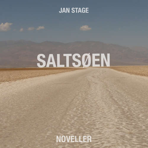 Saltsøen