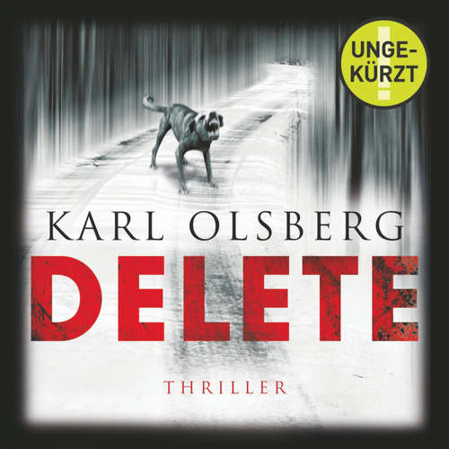 Hoerbuch Delete - Karl Olsberg - Rainer Fritzsche