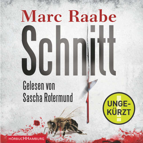 Hoerbuch Schnitt - Marc Raabe - Sascha Rotermund