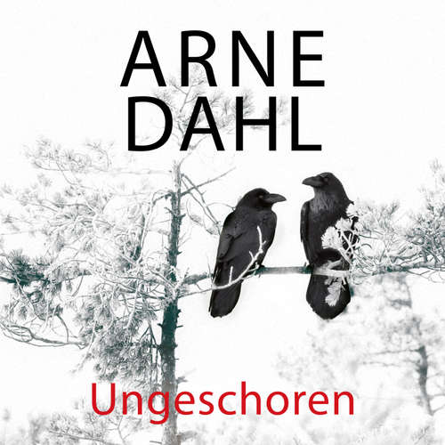 Hoerbuch Ungeschoren (A-Team 6) - Arne Dahl - Jürgen Holdorf