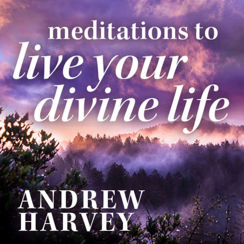 Audiobook Meditations to Live Your Divine Life - Andrew Harvey - Andrew Harvey