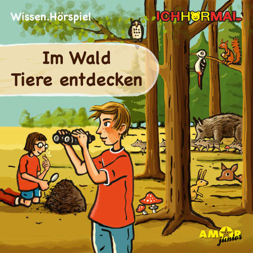 Hoerbuch Im Wald Tiere entdecken - Lorenz Hoffmann - Diverse Hoerbuch Im Wald Tiere entdecken - Lorenz Hoffmann - Diverse