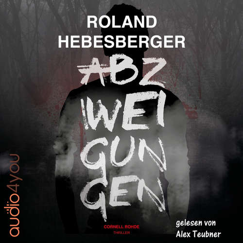 Hoerbuch Abzweigungen - Roland Hebesberger - Alex Teubner