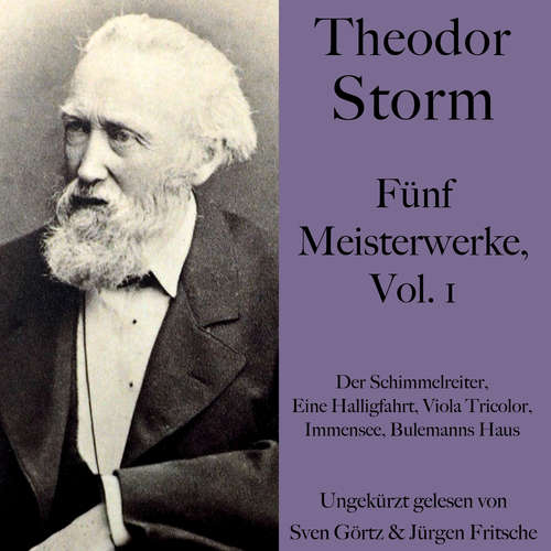 Hoerbuch Theodor Storm: Fünf Meisterwerke, Vol. 1 - Theodor Storm - Sven Görtz