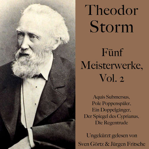Hoerbuch Theodor Storm: Fünf Meisterwerke, Vol. 2 - Theodor Storm - Sven Görtz
