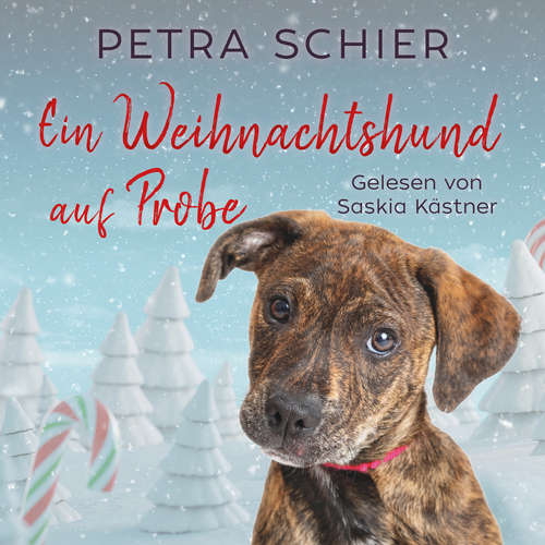 Hoerbuch Ein Weihnachtshund auf Probe - Petra Schier - Saskia Kästner