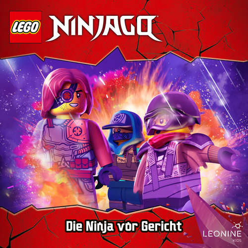 Hoerbuch Folge 187: Die Ninja vor Gericht -  - Stephan Benson
