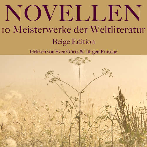 Hoerbuch Novellen: Zehn Meisterwerke der Weltliteratur - Edgar Allan Poe - Jürgen Fritsche