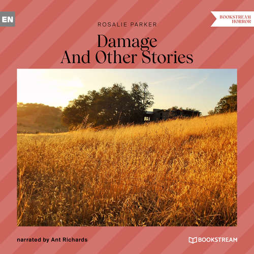 Audiobook Damage - And Other Stories - Rosalie Parker - Ant Richards