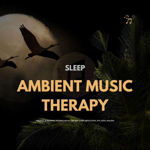Audiobook SLEEP: Ambient Music Therapy - The Sleep Sounds Academy - The Sleep Sounds Academy