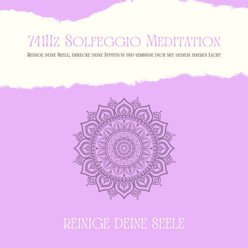Hoerbuch 741Hz Solfeggio Meditation: Reinige Deine Seele, erwecke Deine Intuition und verbinde dich mit Deinem inneren Licht - Patrick Lynen - Martin Ruthenberg