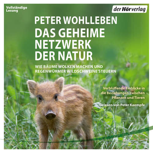 Hoerbuch Das geheime Netzwerk der Natur - Peter Wohlleben - Peter Kaempfe