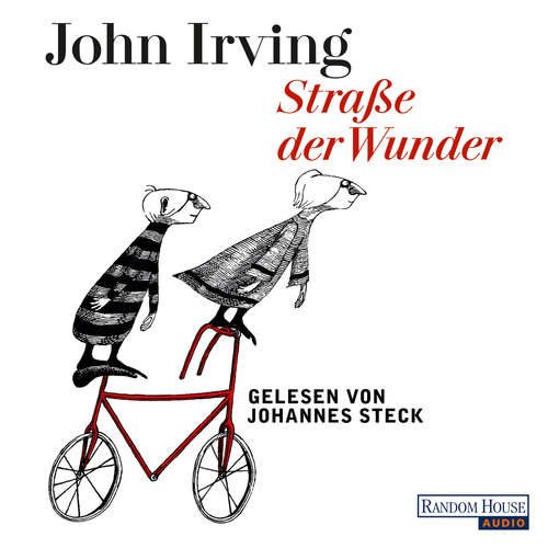Hoerbuch Straße der Wunder - John Irving - Johannes Steck