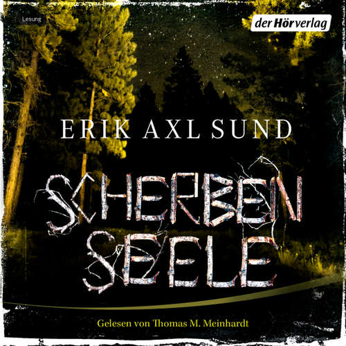 Hoerbuch Scherbenseele - Erik Axl Sund - Thomas M. Meinhardt