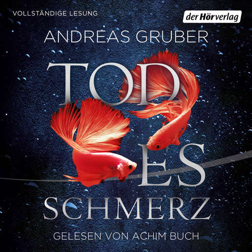 Hoerbuch Todesschmerz - Andreas Gruber - Achim Buch