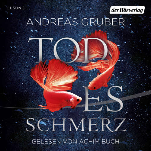 Hoerbuch Todesschmerz - Andreas Gruber - Achim Buch