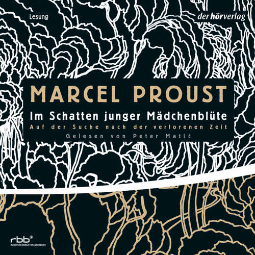 Hoerbuch Auf der Suche nach der verlorenen Zeit 2 - Marcel Proust - Peter Matić