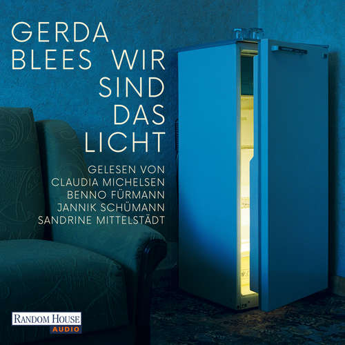 Hoerbuch Wir sind das Licht - Gerda Blees - Claudia Michelsen