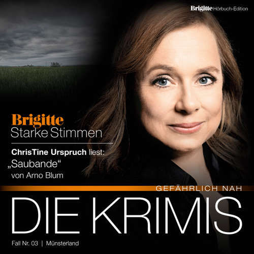 Hoerbuch Saubande - Arne Blum - Christine Urspruch
