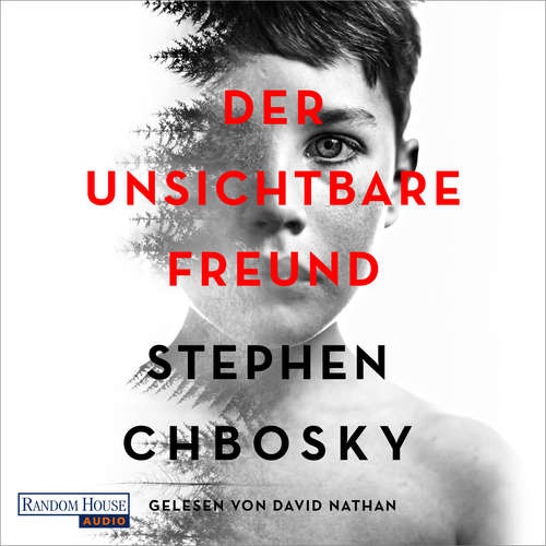 Hoerbuch Der unsichtbare Freund - Stephen Chbosky - David Nathan