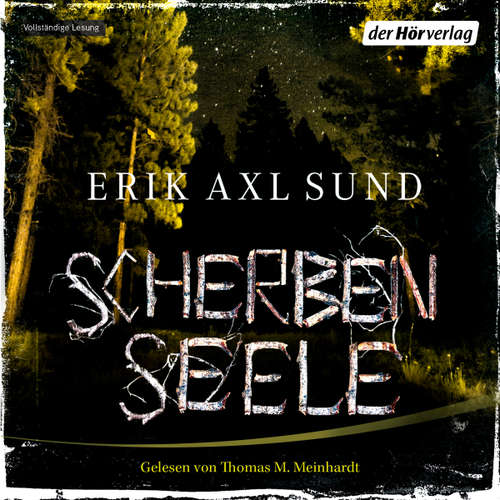 Hoerbuch Scherbenseele - Erik Axl Sund - Thomas M. Meinhardt