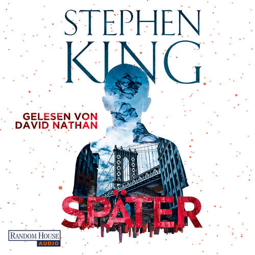 Hoerbuch Später - Stephen King - David Nathan