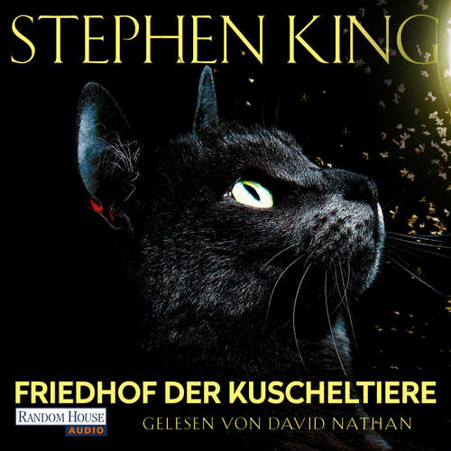 Hoerbuch Friedhof der Kuscheltiere - Stephen King - David Nathan
