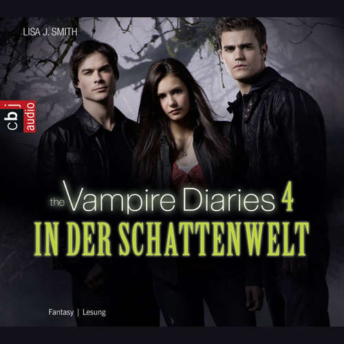 Hoerbuch The Vampire Diaries - In der Schattenwelt - Lisa J. Smith - Christine Henning
