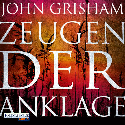 Hoerbuch Zeugen der Anklage - John Grisham - Charles Brauer