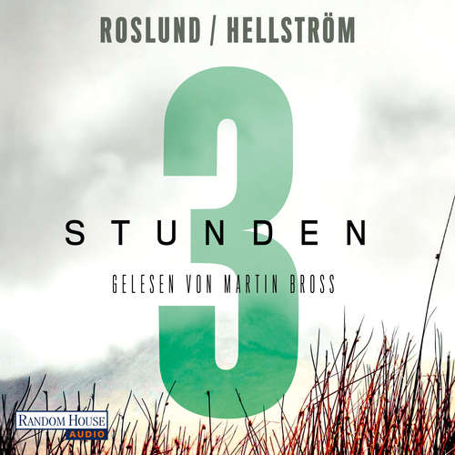 Hoerbuch Drei Stunden - Börge Hellström - Martin Bross