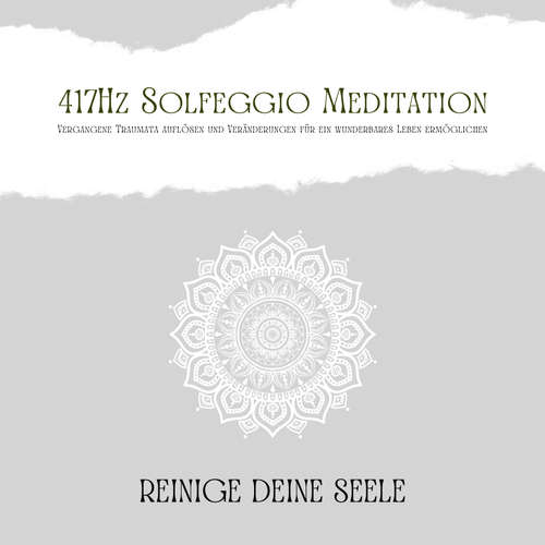 Hoerbuch 417Hz Solfeggio Meditation: Vergangene Traumata auflösen und Veränderungen für ein wunderbares Leben ermöglichen - Patrick Lynen - Patrick Lynen
