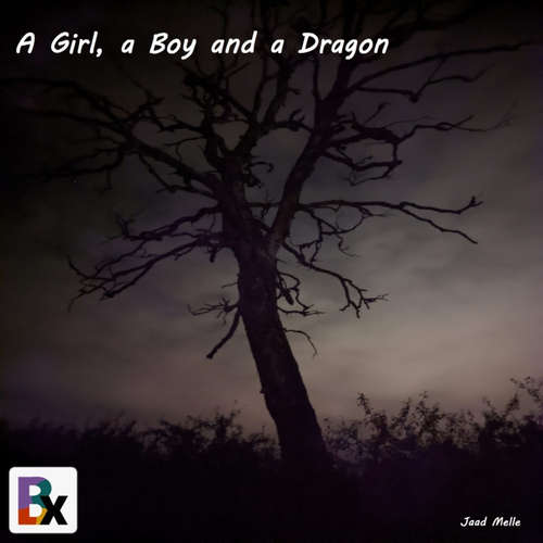 Audiobook A Girl, a Boy and a Dragon - jaad melle - center soft