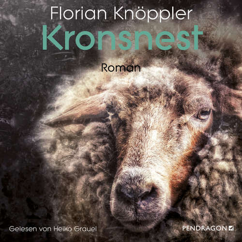 Hoerbuch Kronsnest - Florian Knöppler - Heiko Grauel