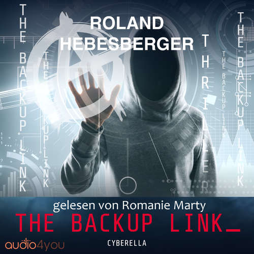 Hoerbuch The Backup Link - Roland Hebesberger - Romanie Marty