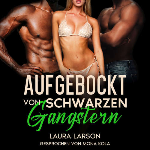Hoerbuch Aufgebockt von schwarzen Gangstern - Laura Larson - Mona Kola